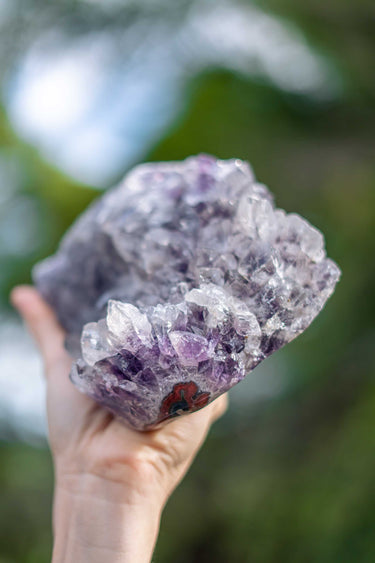 Polished Amethyst Cluster